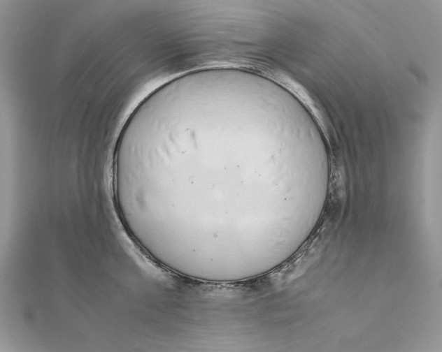 X0000111430811200908031330