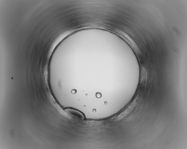 X0000111430812200908031330