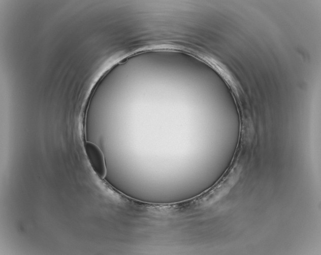 X0000111430813200908031330