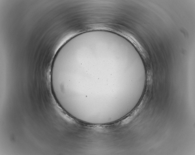 X0000111430814200908031330