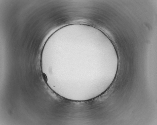 X0000111430816200908031330