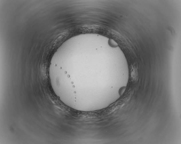 X0000111430819200908031329