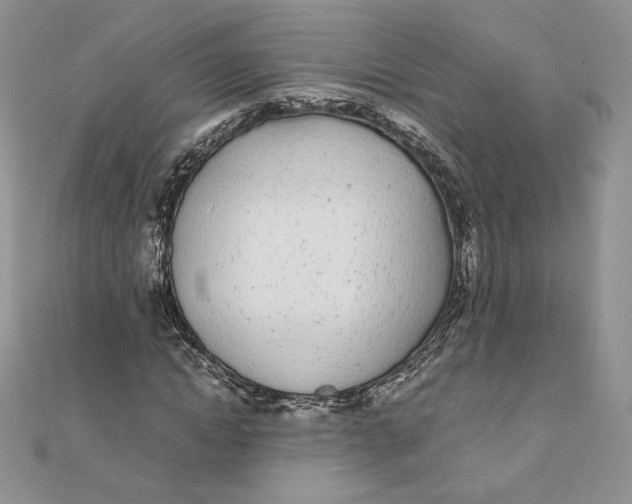 X0000111430822200908031329