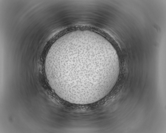 X0000111430823200908031329