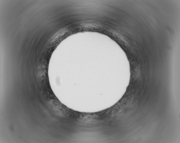 X0000111430824200908031329