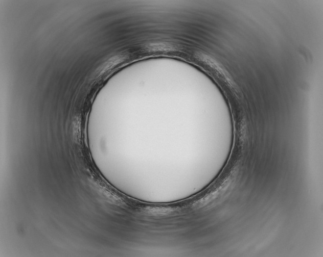 X0000111430825200908031329