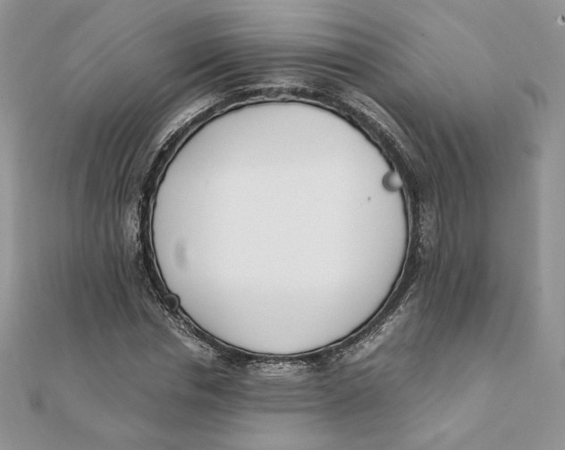 X0000111430826200908031329