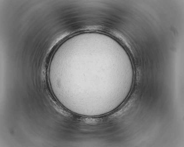 X0000111430827200908031329