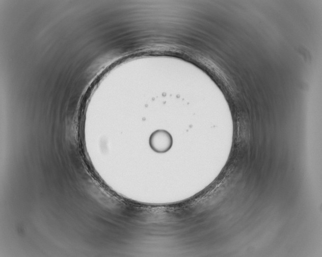 X0000111430828200908031329