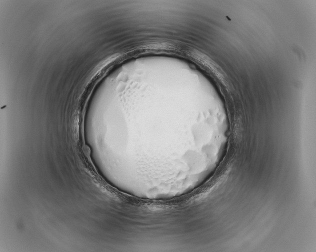 X0000111430829200908031329