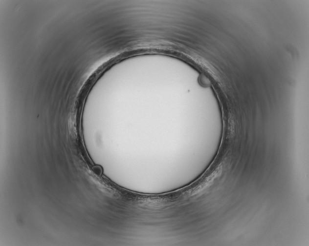 X0000111430830200908031329