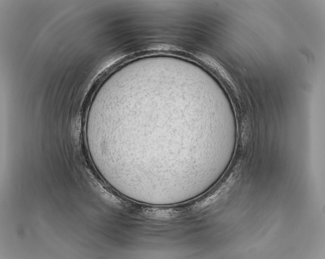 X0000111430831200908031329