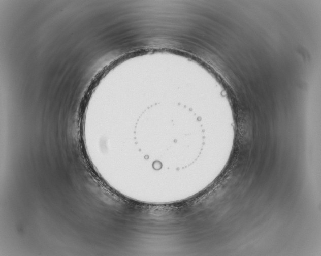 X0000111430832200908031329