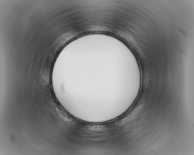 X0000111430833200908031329