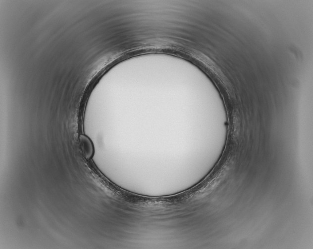 X0000111430834200908031329