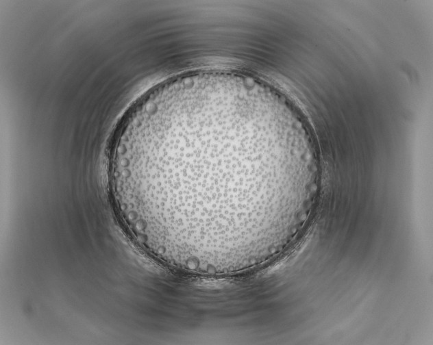 X0000111430835200908031329