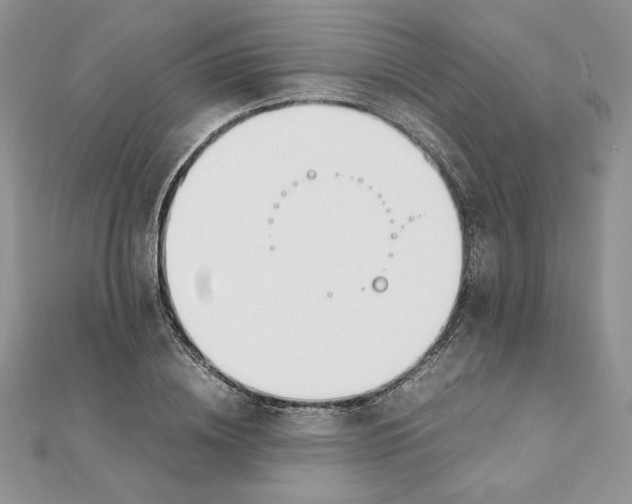 X0000111430836200908031329