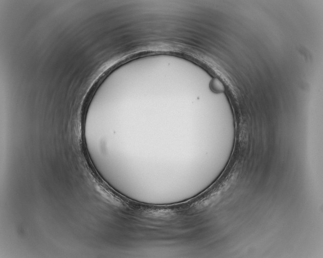 X0000111430837200908031329