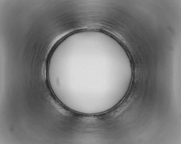 X0000111430838200908031329