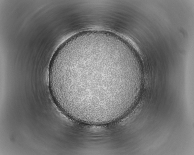 X0000111430839200908031329