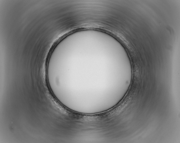 X0000111430840200908031329