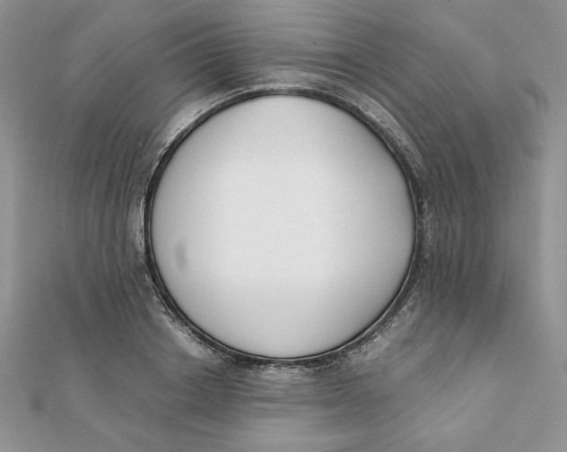 X0000111430842200908031329