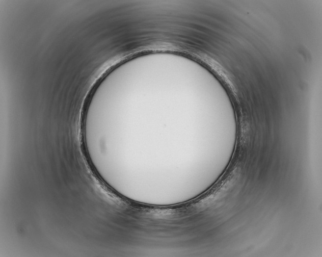 X0000111430845200908031330