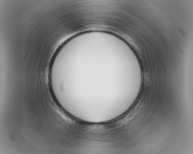 X0000111430846200908031330