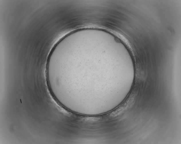 X0000111430847200908031330