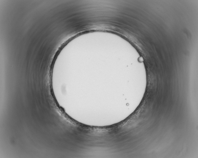 X0000111430848200908031330