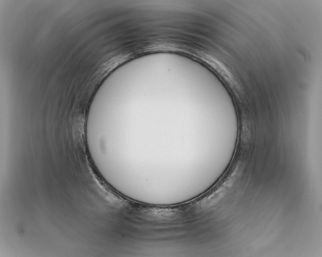 X0000111430849200908031330