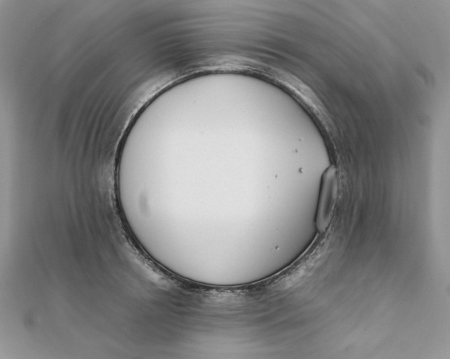 X0000111430850200908031330