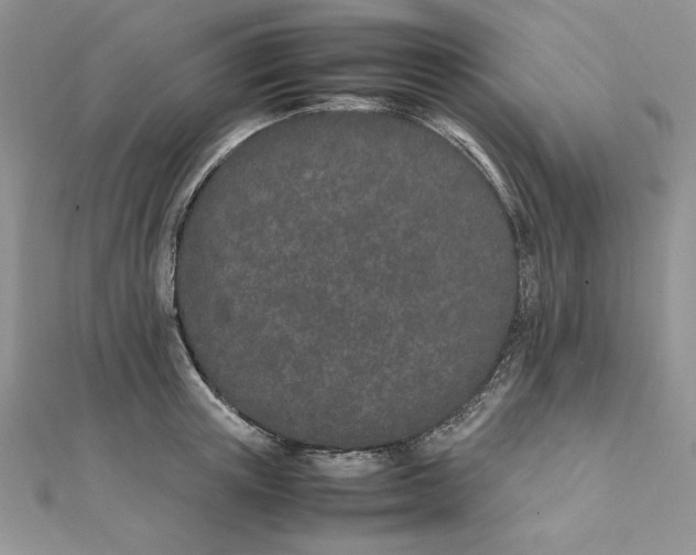 X0000111430851200908031330