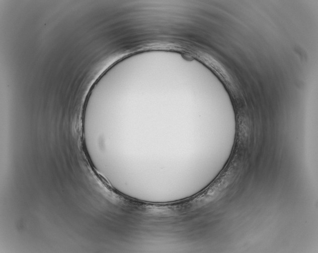 X0000111430852200908031330