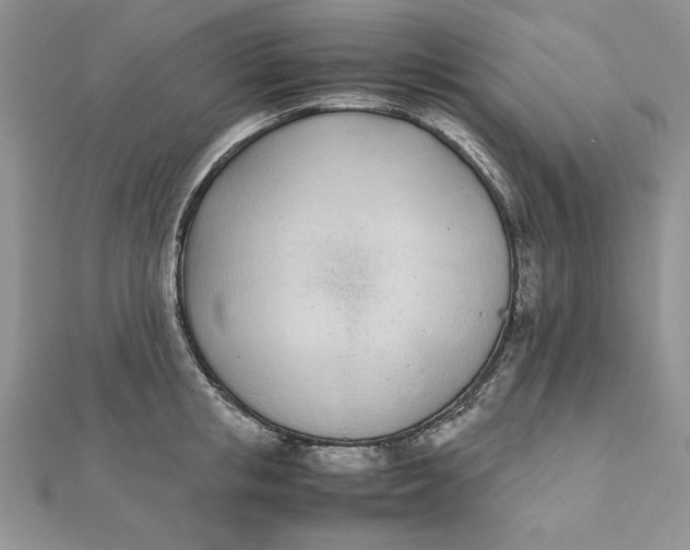 X0000111430853200908031330