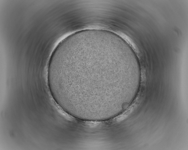 X0000111430854200908031330