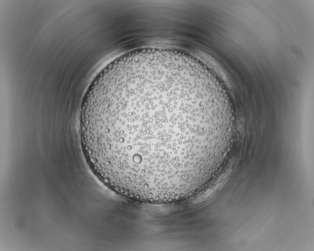 X0000111430855200908031330