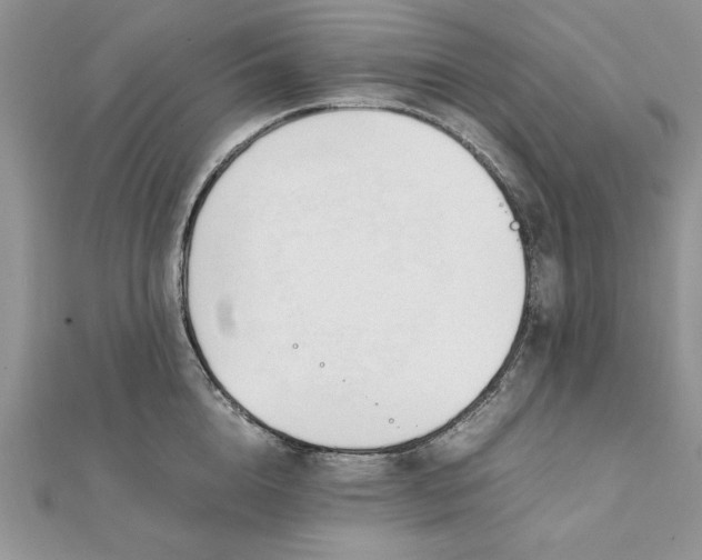 X0000111430856200908031330