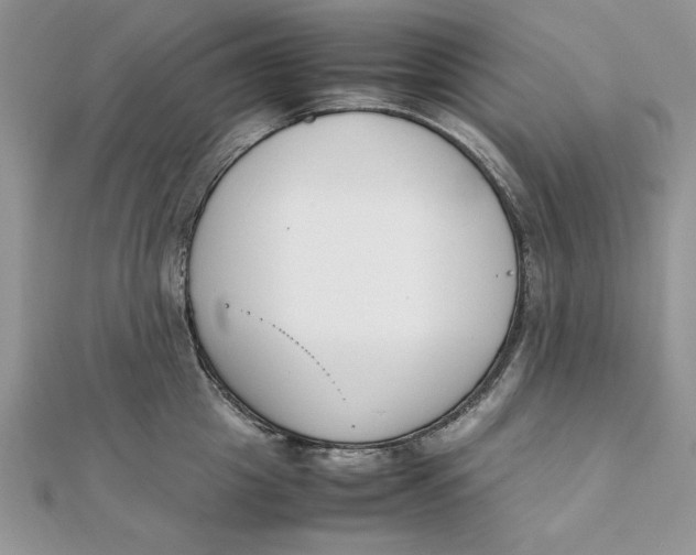 X0000111430857200908031330