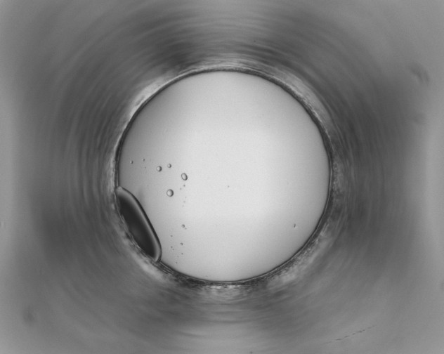 X0000111430858200908031330