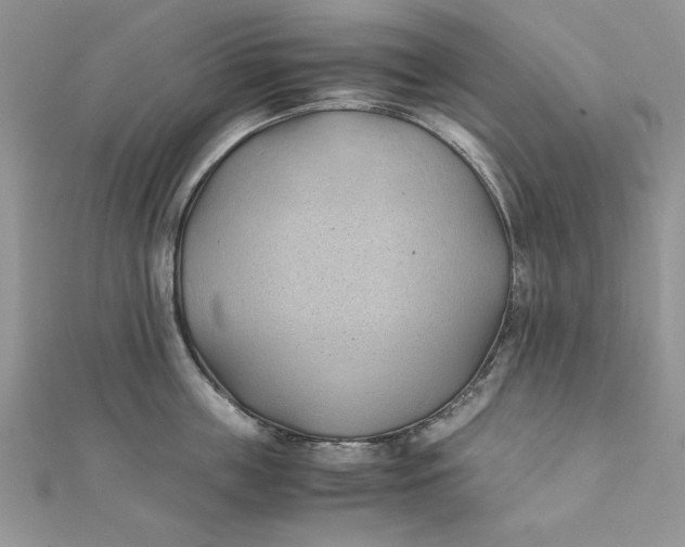 X0000111430859200908031330