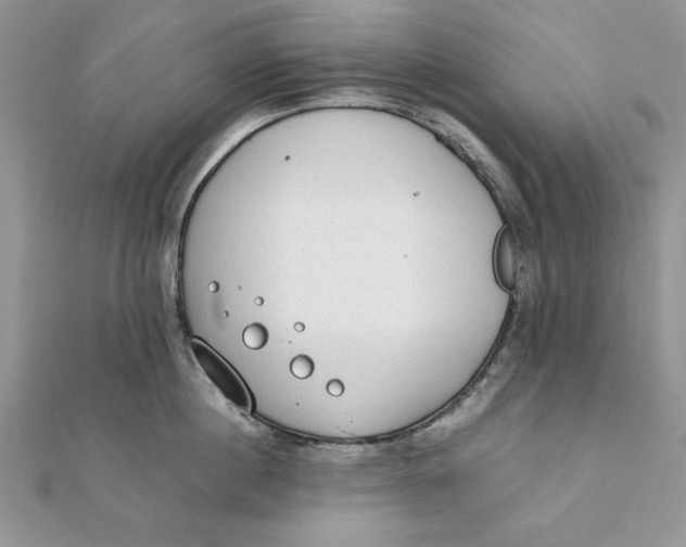 X0000111430860200908031330