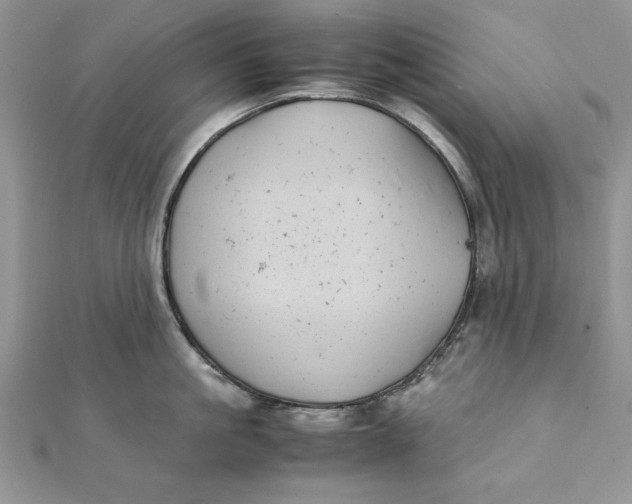 X0000111430861200908031330