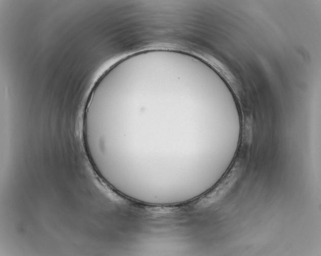 X0000111430862200908031330