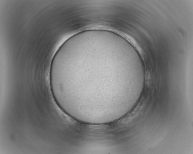 X0000111430863200908031330