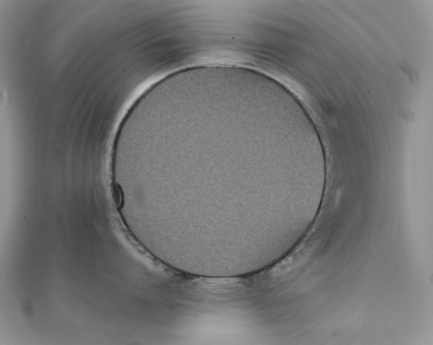 X0000111430864200908031330