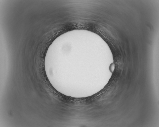 X0000111430865200908031329