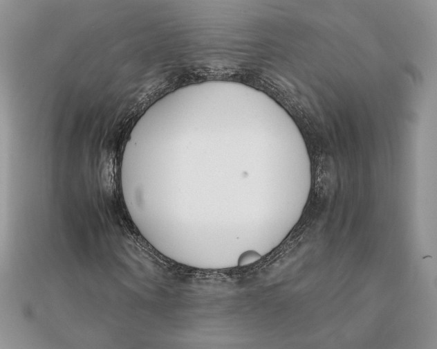 X0000111430866200908031329