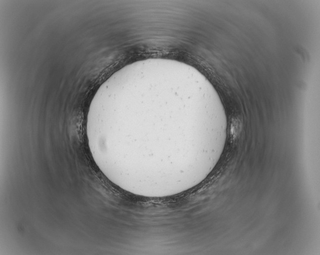 X0000111430867200908031329