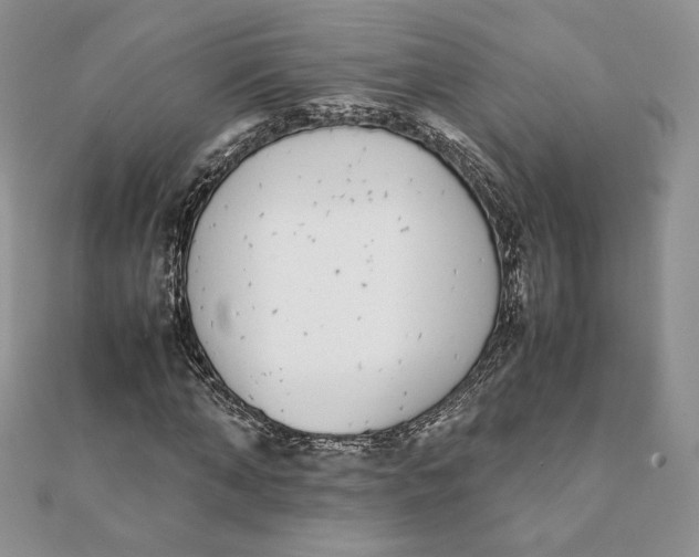 X0000111430870200908031329